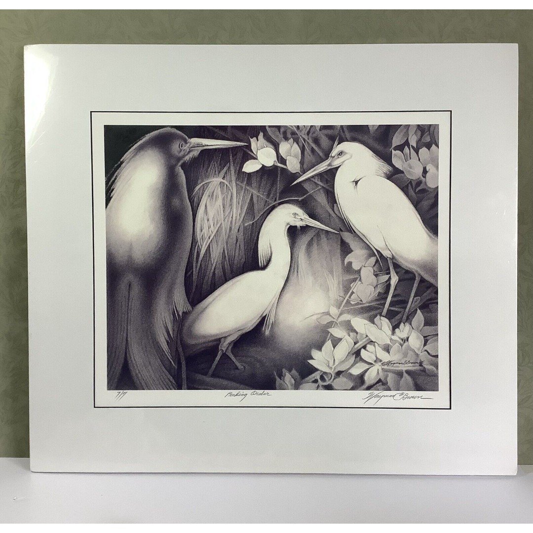 Wayman C Brown Pencil Sketch White Heron ‘Pecking Order’ 19x22 Signed & Matted
