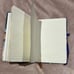 Van Gogh self notebook