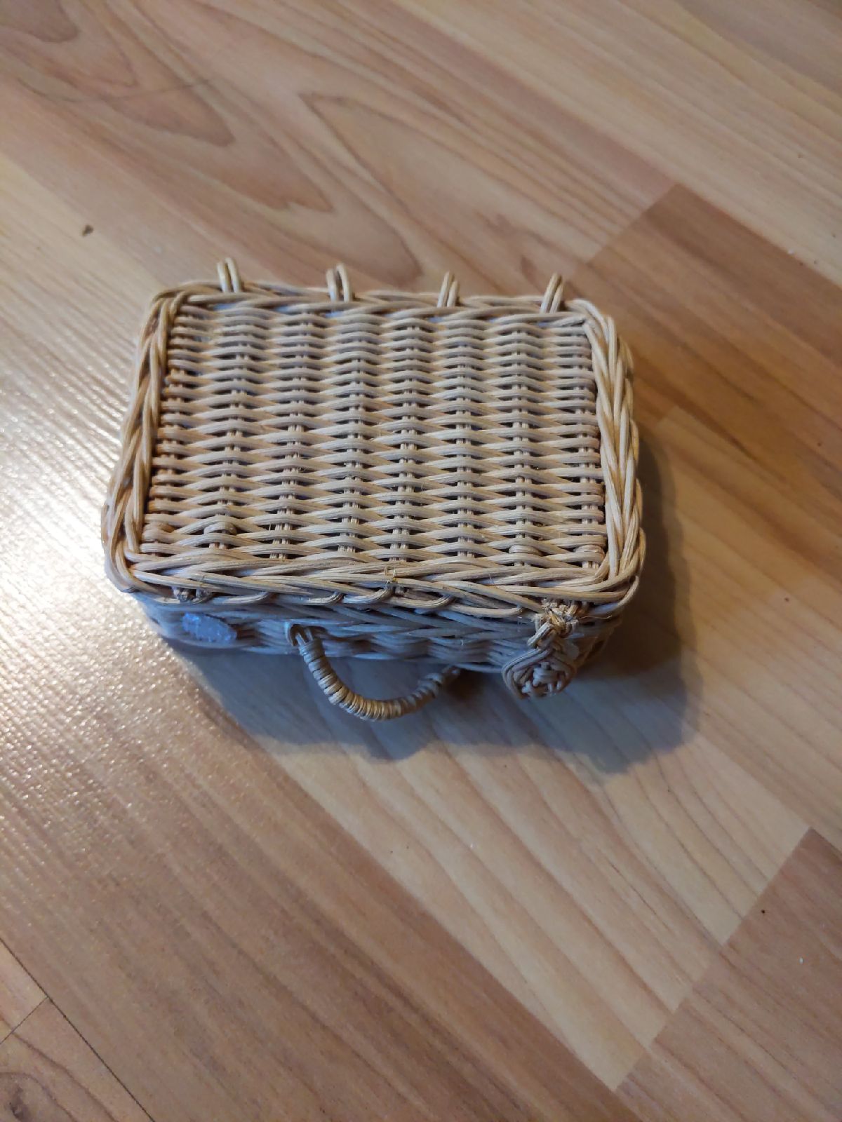 Bitty bear's suitcase american girl