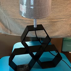 One of a kind lamp
