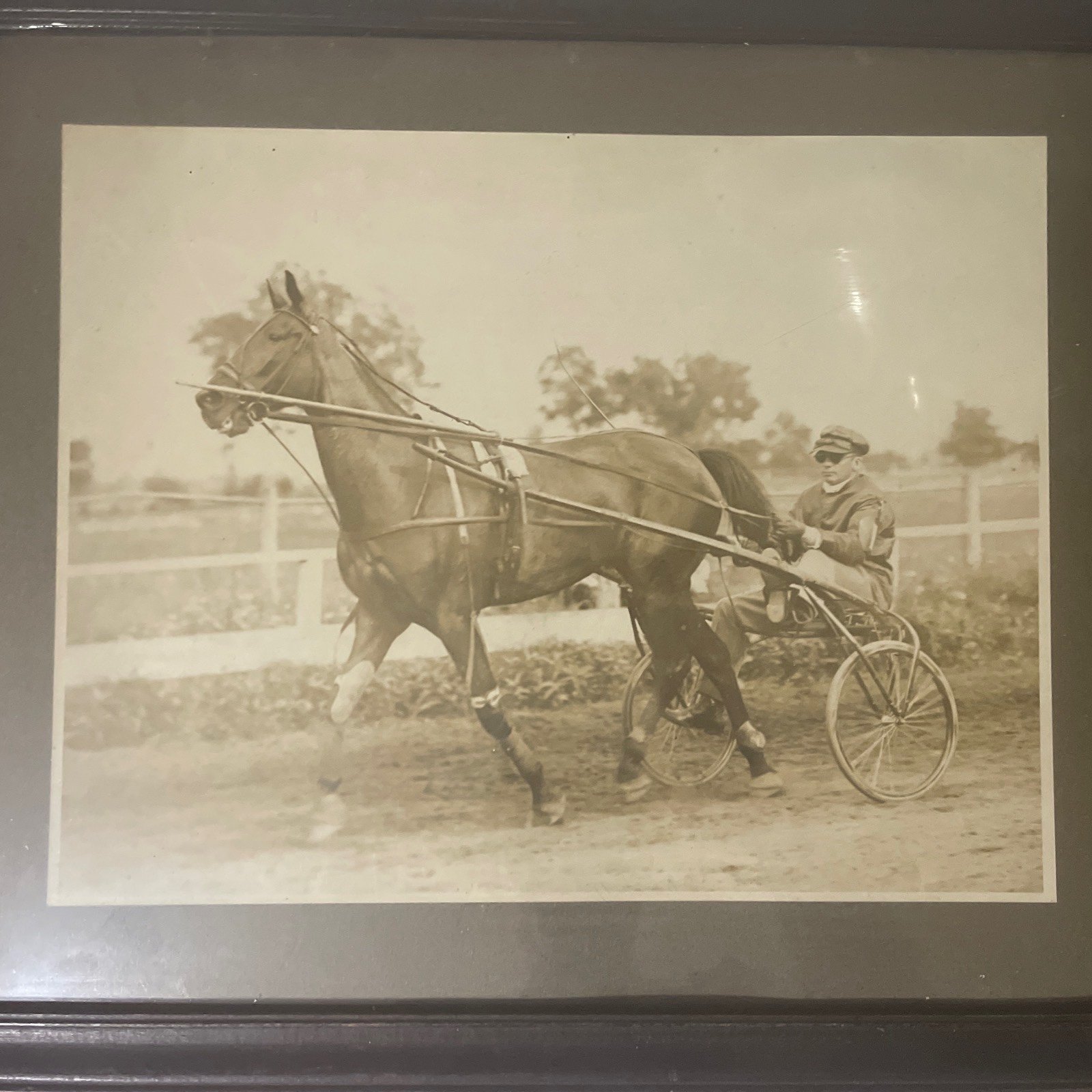 Antique Harness Track Photo Trotter Framed 15 x 19 Saratoga
