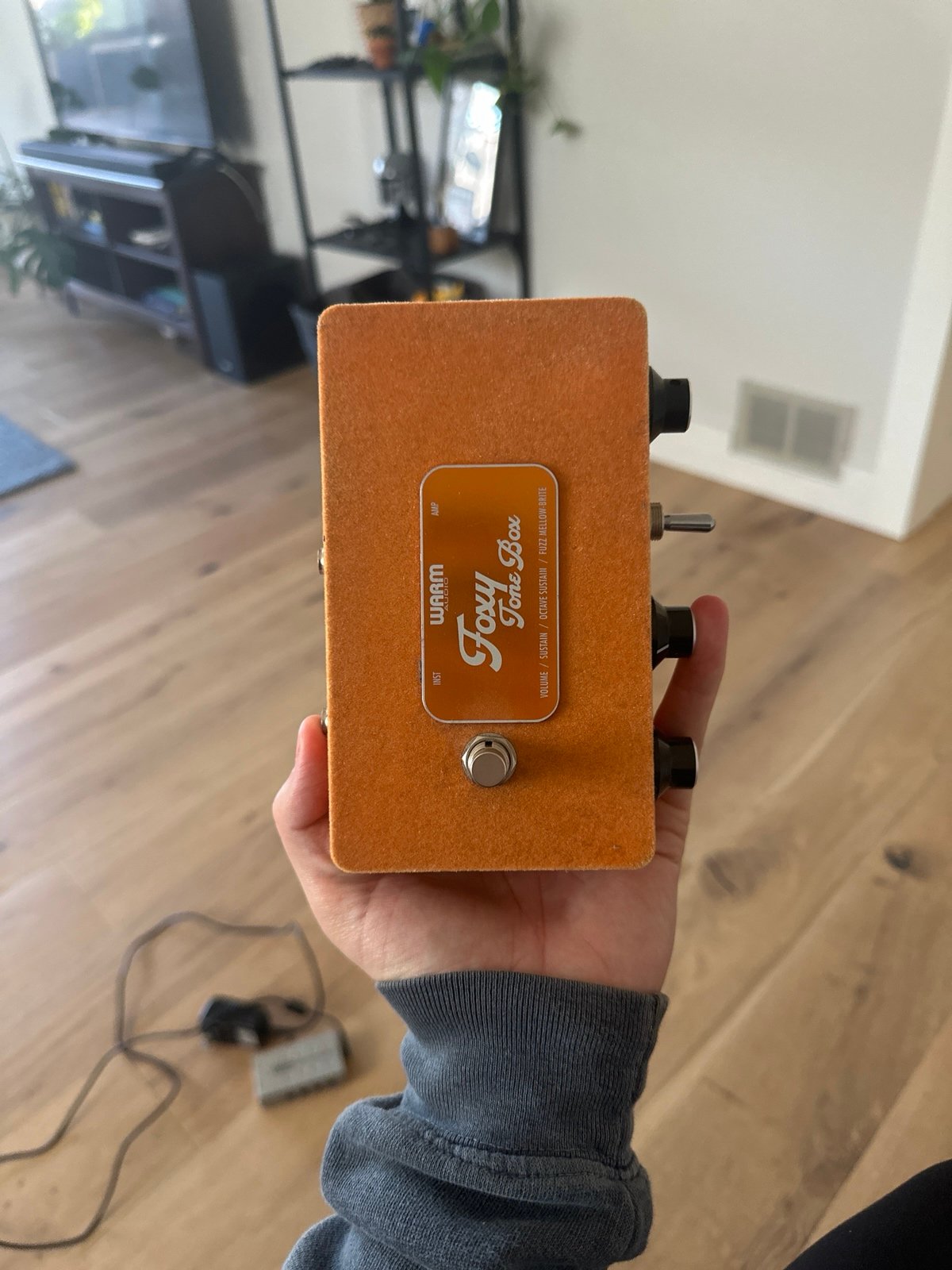 FUZZ pedal foxy tone box