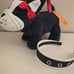 NWT Gymboree Ciao Puppy Dog Purse with Headband