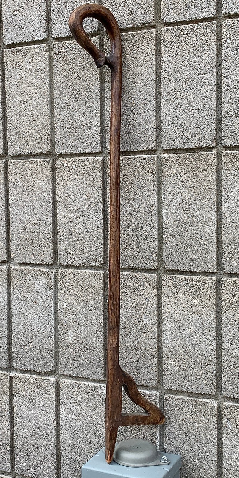 Early 20th Century Antique Wooden Loop Handle Tool Ended Walking Stick Cane
