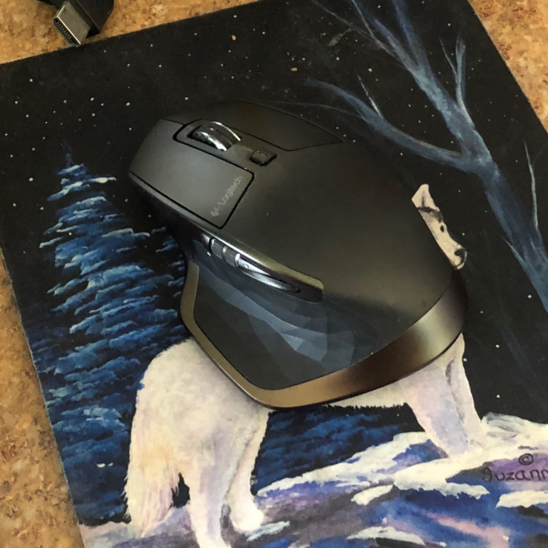 Logitech MX Master