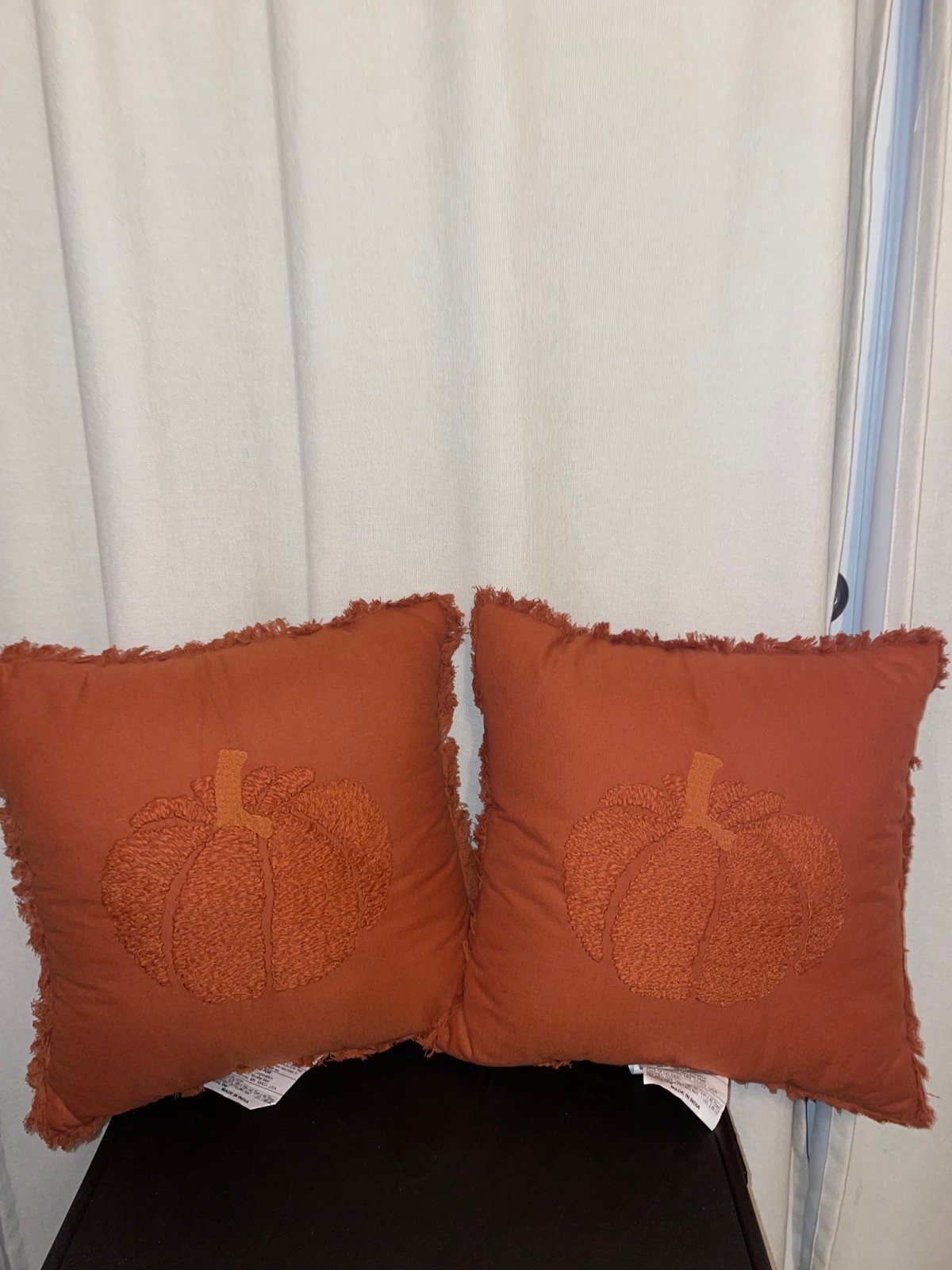Two Pumpkin Fall pillows
