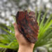 XL 5+ lbs Jasperized Wood w/ Chalcedony Free Shipping (IndigenoU.S.Crystals)