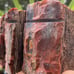 XL 5+ lbs Jasperized Wood w/ Chalcedony Free Shipping (IndigenoU.S.Crystals)