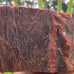XL 5+ lbs Jasperized Wood w/ Chalcedony Free Shipping (IndigenoU.S.Crystals)