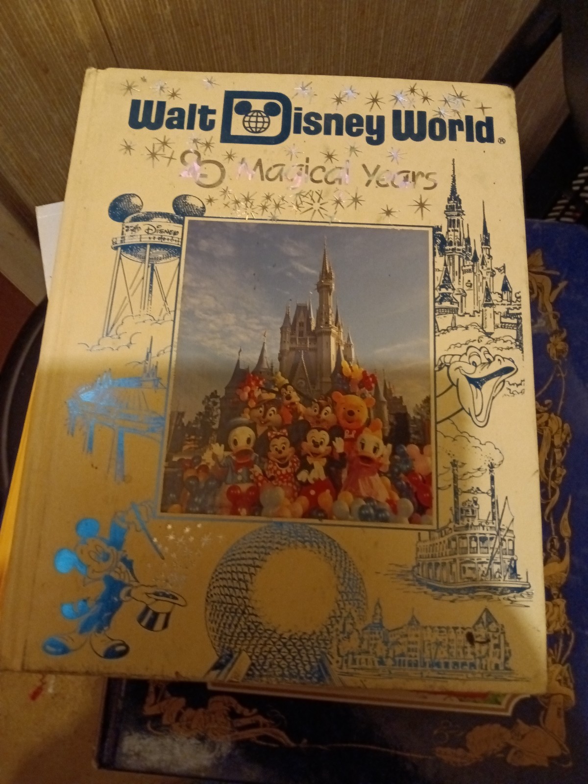 Walt Disney world 20 years book