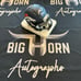 NFL mini helmets