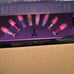 BNIB JEFREE STAR QUEEN B**** LIPPIE SET