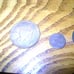 VINTAGE WORLD COINS 1899 & 1962 CANADA, 1928 IRELAND, 18?? DENMARK