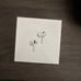 AIRPOD PROS 2nd GEN+ APPLE CARE BRAND NEW