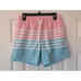 Chubbies On The Horizon 5.5 Lined Classic Swim Trunks Size M Pink Teal NWOT