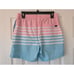 Chubbies On The Horizon 5.5 Lined Classic Swim Trunks Size M Pink Teal NWOT