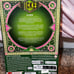 Wicked the Movie Glinda & Elphaba Doll Set