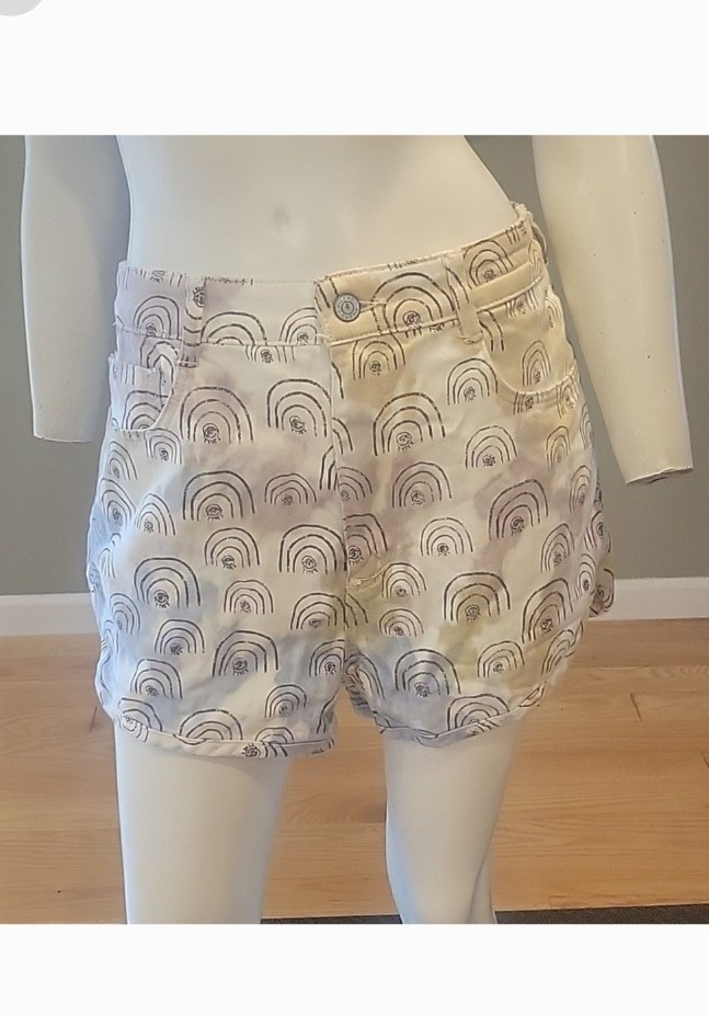 Pilcro for Anthropologie Hannah Leathers Rainbow Short