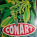 Conart Vintage 90s Mear one graffiti Source magazine Clipping rap