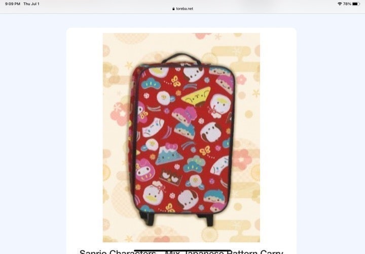 Sanrio Characters Carrying case