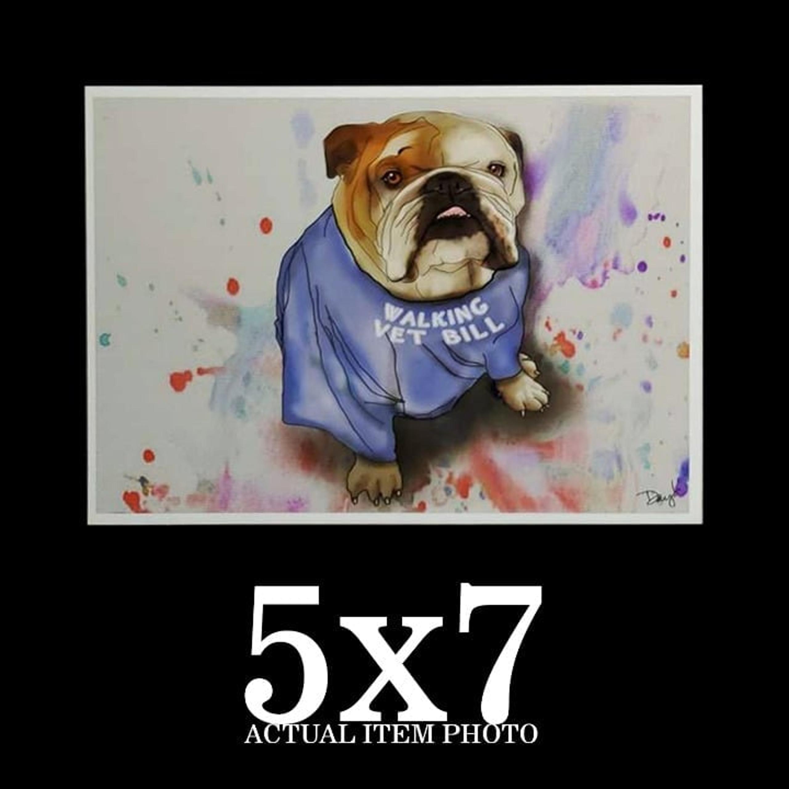 English Bulldog in a Tee Shirt Art Print "Walking Vet Bill" 5x7