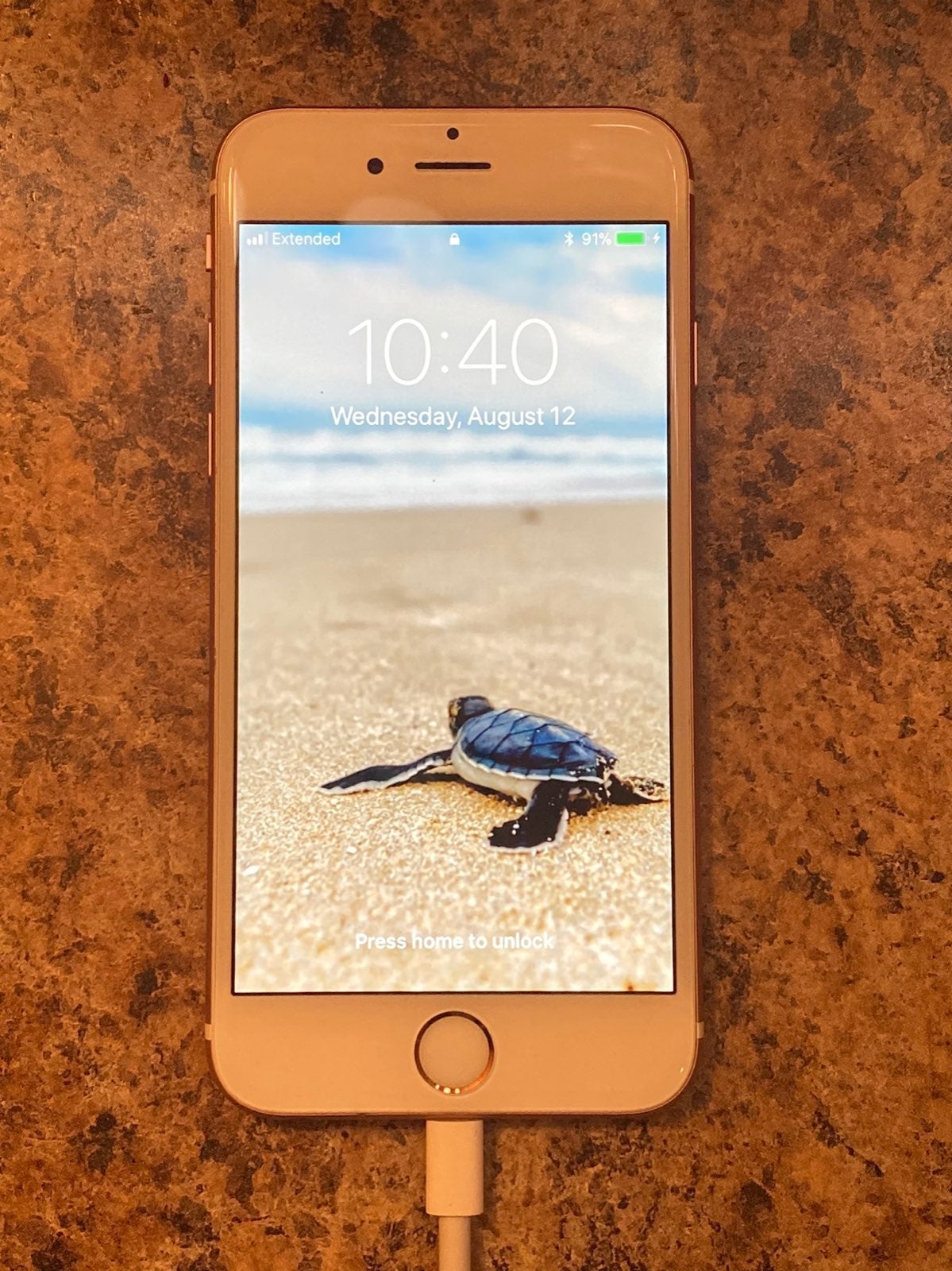 Apple iPhone 6s - 16 GB - Rose Gold (AT&T) for sale online