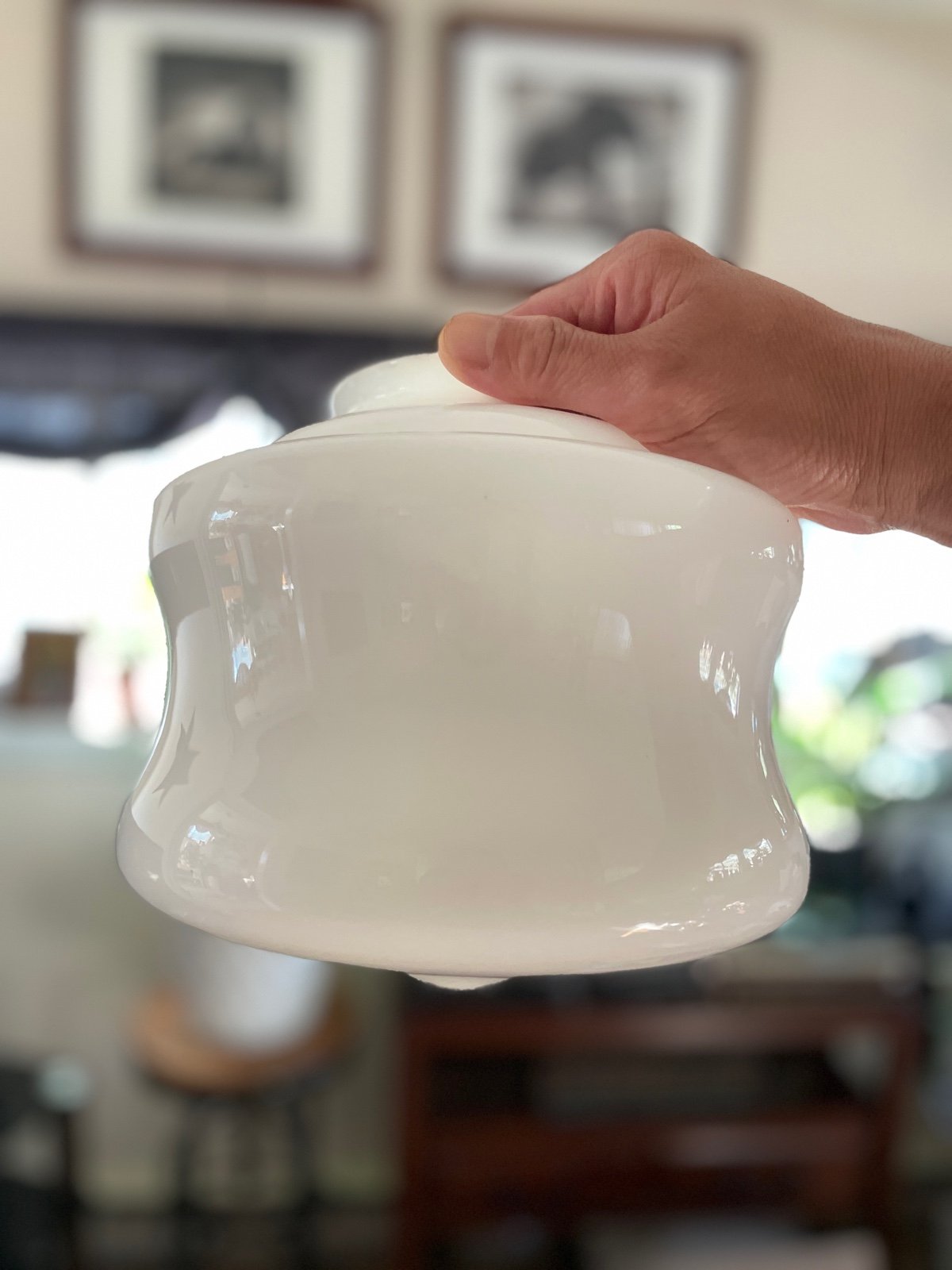 Opal Schoolhouse Shade Globe Milk Glass Light Fixture