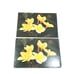 Vintage postcard pack, 25 cards, Plumeria by Robert Wenkam, Friends of the Earth