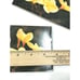 Vintage postcard pack, 25 cards, Plumeria by Robert Wenkam, Friends of the Earth