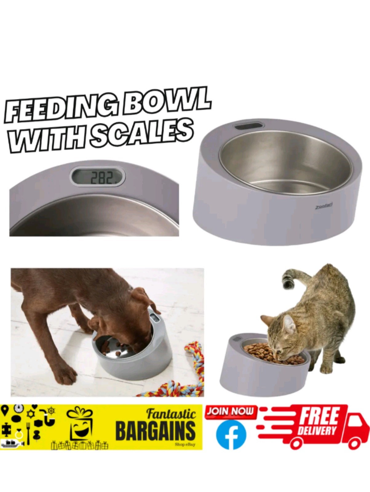 Zoofari Feeding Bowl with Digital Scales Dog or Cat Dry Wet Food kitten puppy