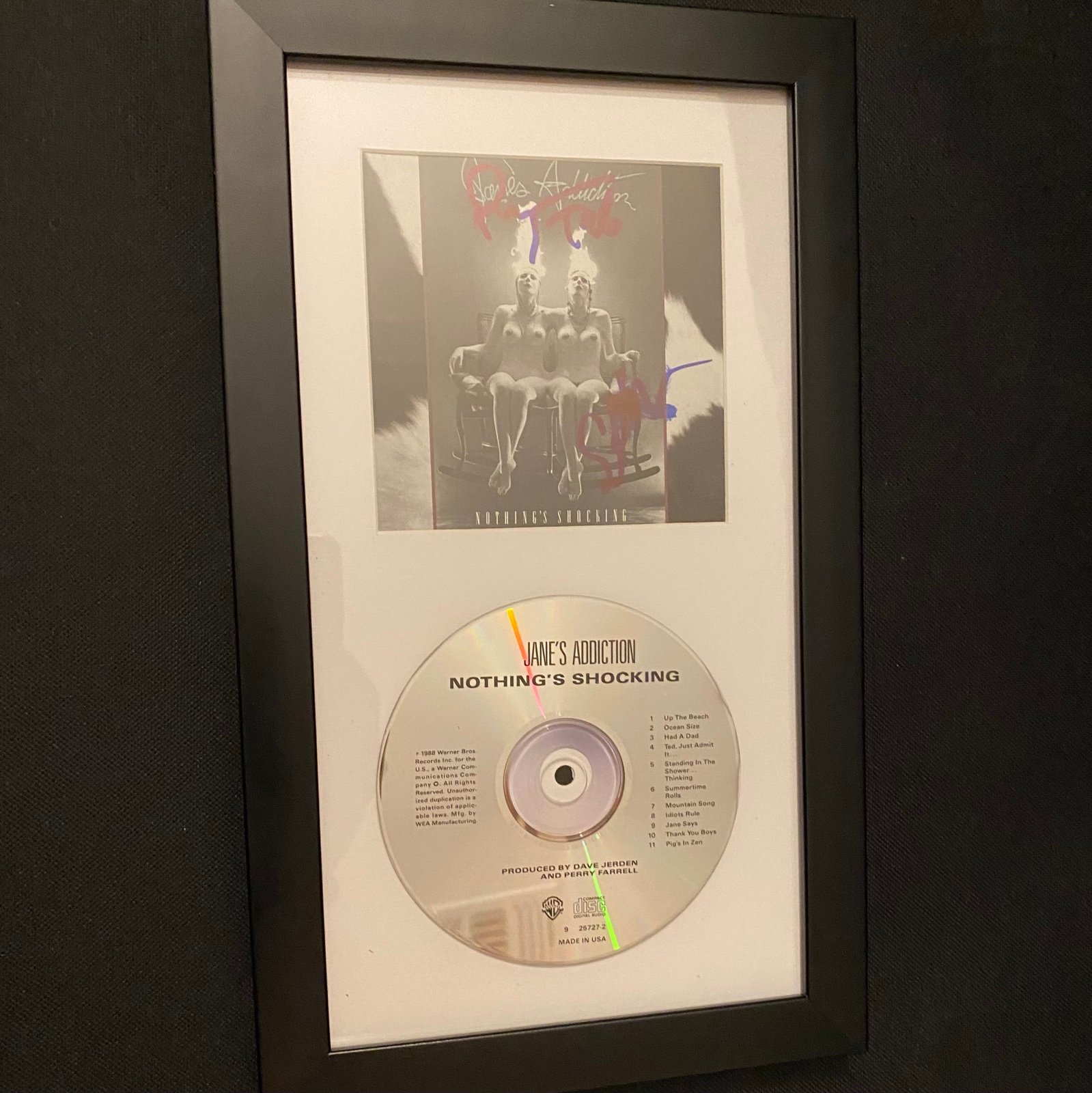 Jane’s addiction signed album sleeve perry farrell