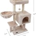 Cute Cat Tree Kitten