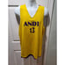 Reversible And1 purple/yellow jersey