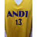 Reversible And1 purple/yellow jersey