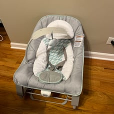 Baby bouncer ingenuity