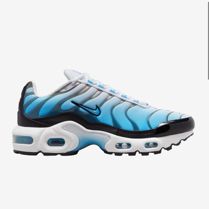 Nike Big Kids Air Max Plus Black/Blue