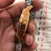 100% Authentic Just Cavalli watch