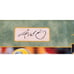 Green Bay Packers Aaron Rodgers Framed Super Bowl XLV MVP