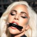 Haus Liquid Eyeshadow