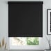 Black Classic Vinyl Blackout Roller Shades: 29 5/8 W x 45 H