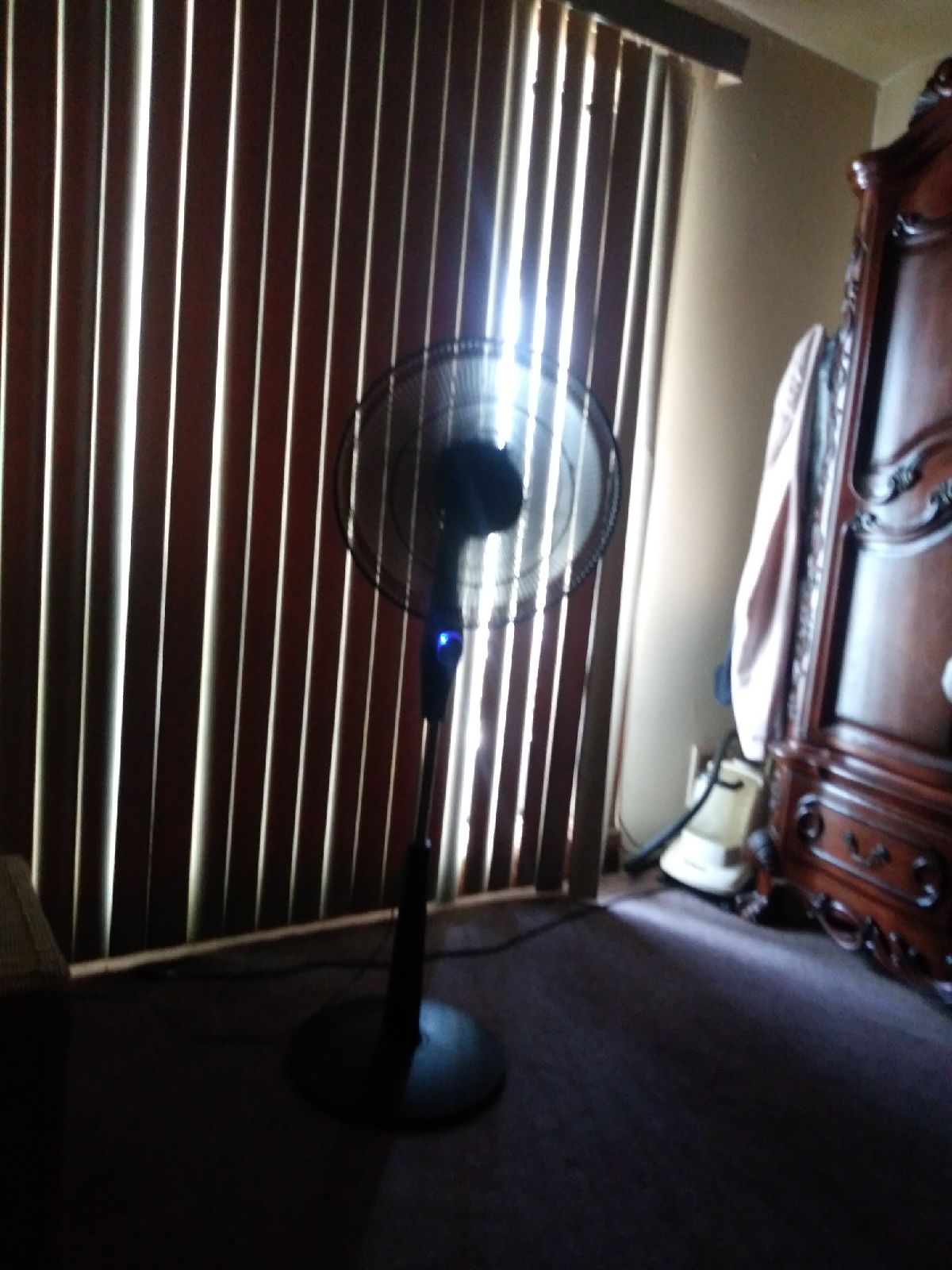 A fan