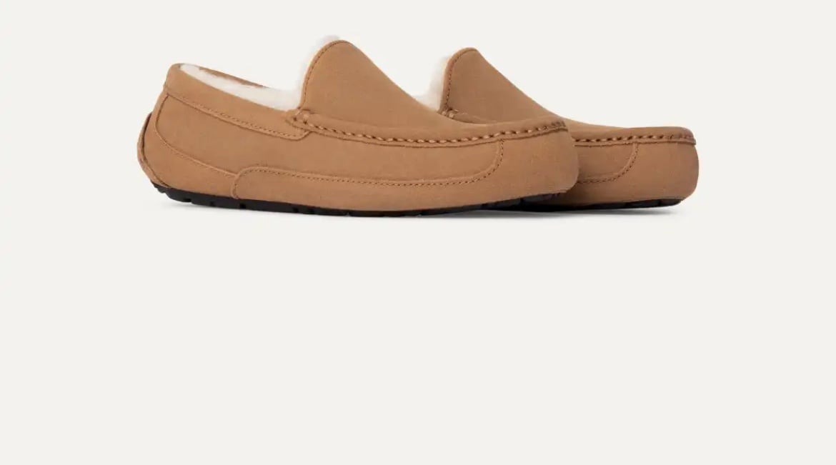 Ugg ascot