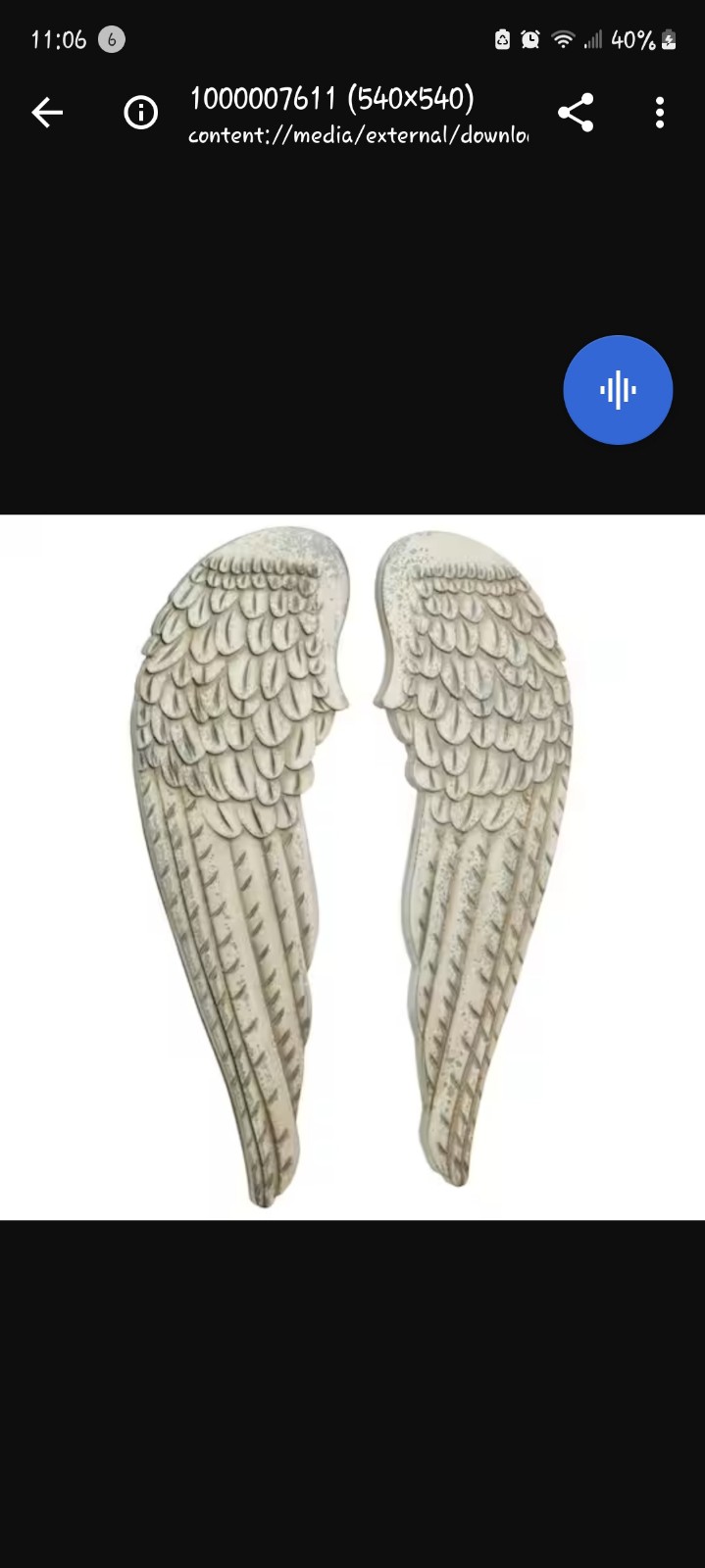 Angel Wings Wall Art