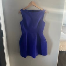 NWOT Zara Voluminous Dress