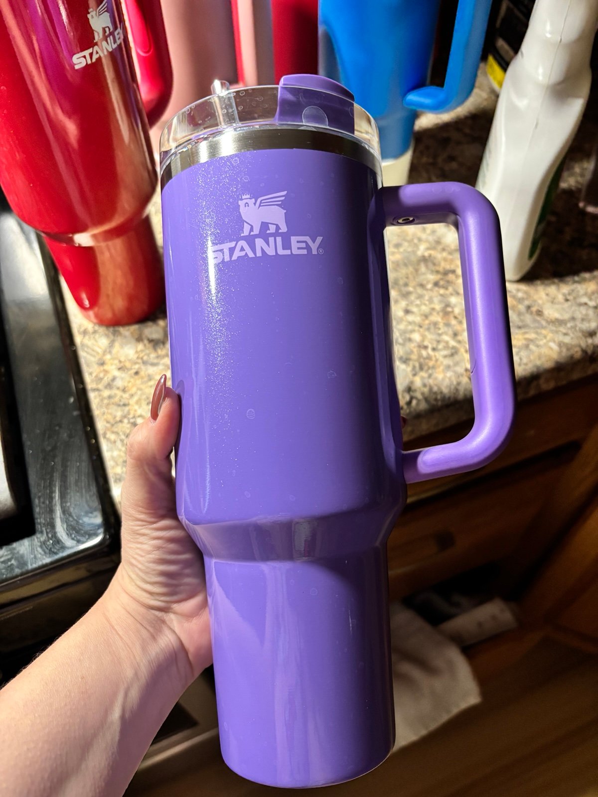 Stanley purple 40oz
