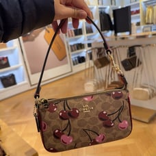 COACH Nolita 19 In Signature Canvas With Cherry Print CZ011 NWT