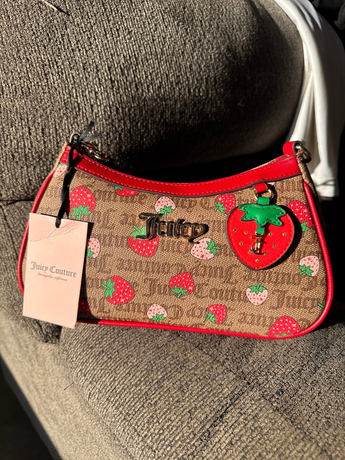 Brown Strawberry Juicy Couture Shoulder bag