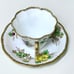Vintage Salisbury PANSY Gold Trim Floral Teacup and Saucer Set 1878 Antique
