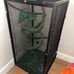 reptile supplies