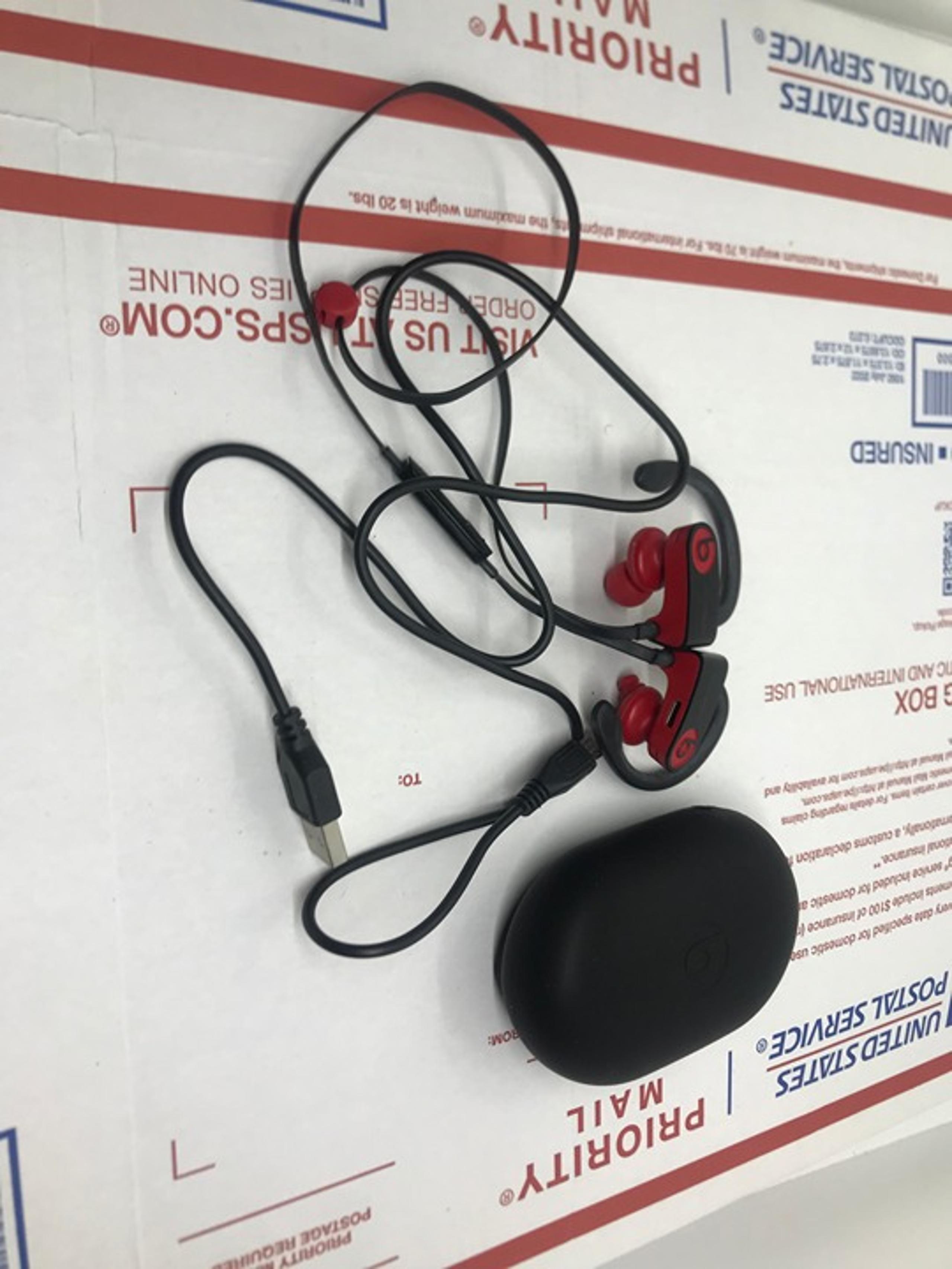 Beats by Dr. Dre Powerbeats3 In Ear Headphone  with usb cord